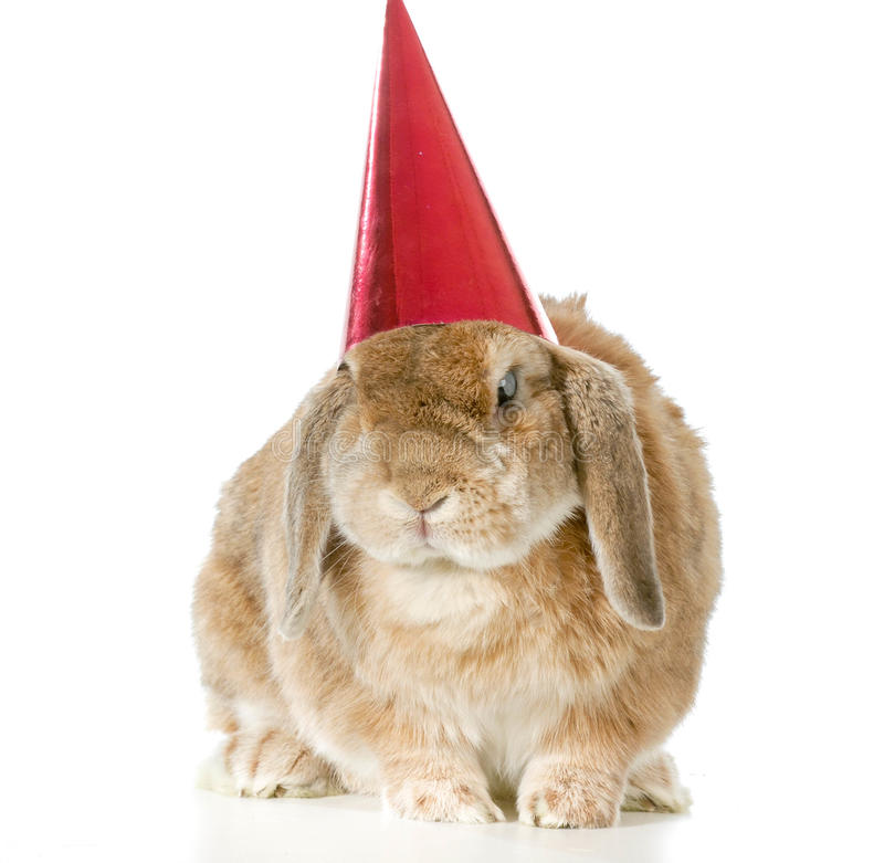 Happy Birthday to me & Kevon Looney 