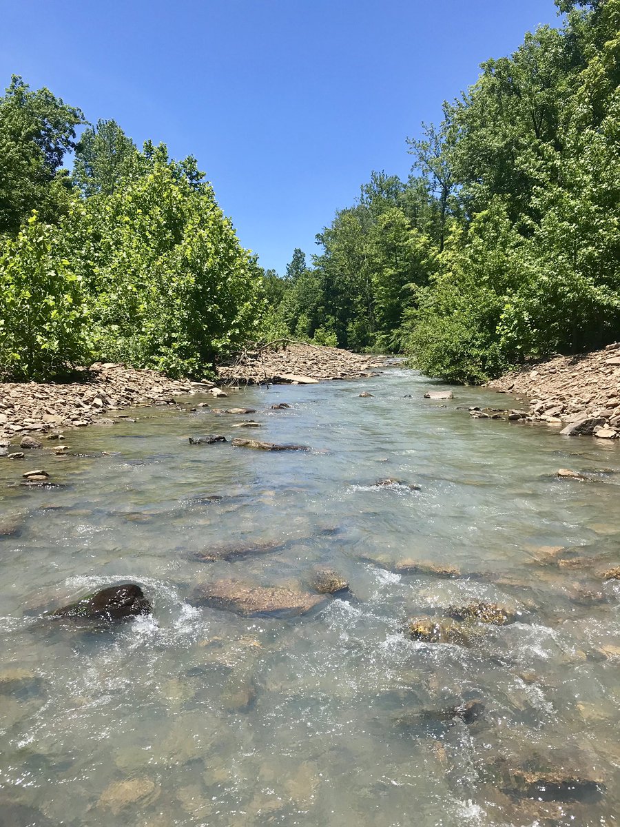 tonynft333ETH's tweet photo. We are hiring two field technicians! Techs will gain experience with kick seining, crayfish ID, experimental execution, and more. Plus the Ozarks are awesome! Please spread the word. 

https://t.co/dwXDJQxVxn https://t.co/KzWAhcswMZ