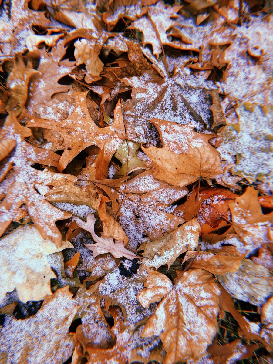 _solson's tweet image. 