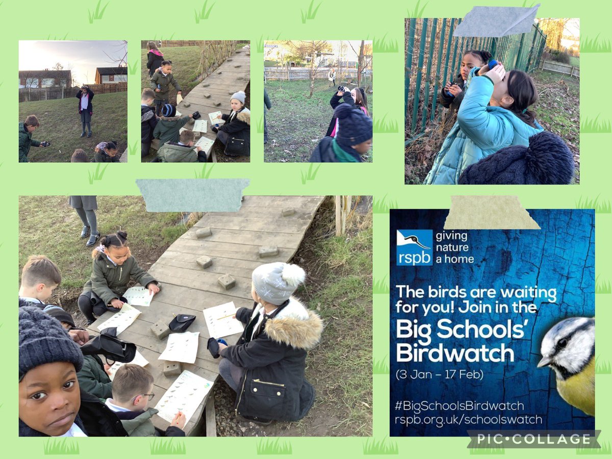 SJSB Laudato Si’ (@sjsblaudatosi) on Twitter photo Today we ventured out to take notice of nature to give our mental health a boost in #ChildrensMentalHealthWeek. We went birdwatching for <a href="/RSPBEngland/">RSPB England</a> Big School Birdwatch to feel a part of our wider community and be good stewards of nature. <a href="/StJosephStBede/">StJoseph StBede RCPS</a> Today we ventured out to take notice of nature to give our mental health a boost in #ChildrensMentalHealthWeek. We went birdwatching for <a href="/RSPBEngland/">RSPB England</a> Big School Birdwatch to feel a part of our wider community and be good stewards of nature. <a href="/StJosephStBede/">StJoseph StBede RCPS</a>