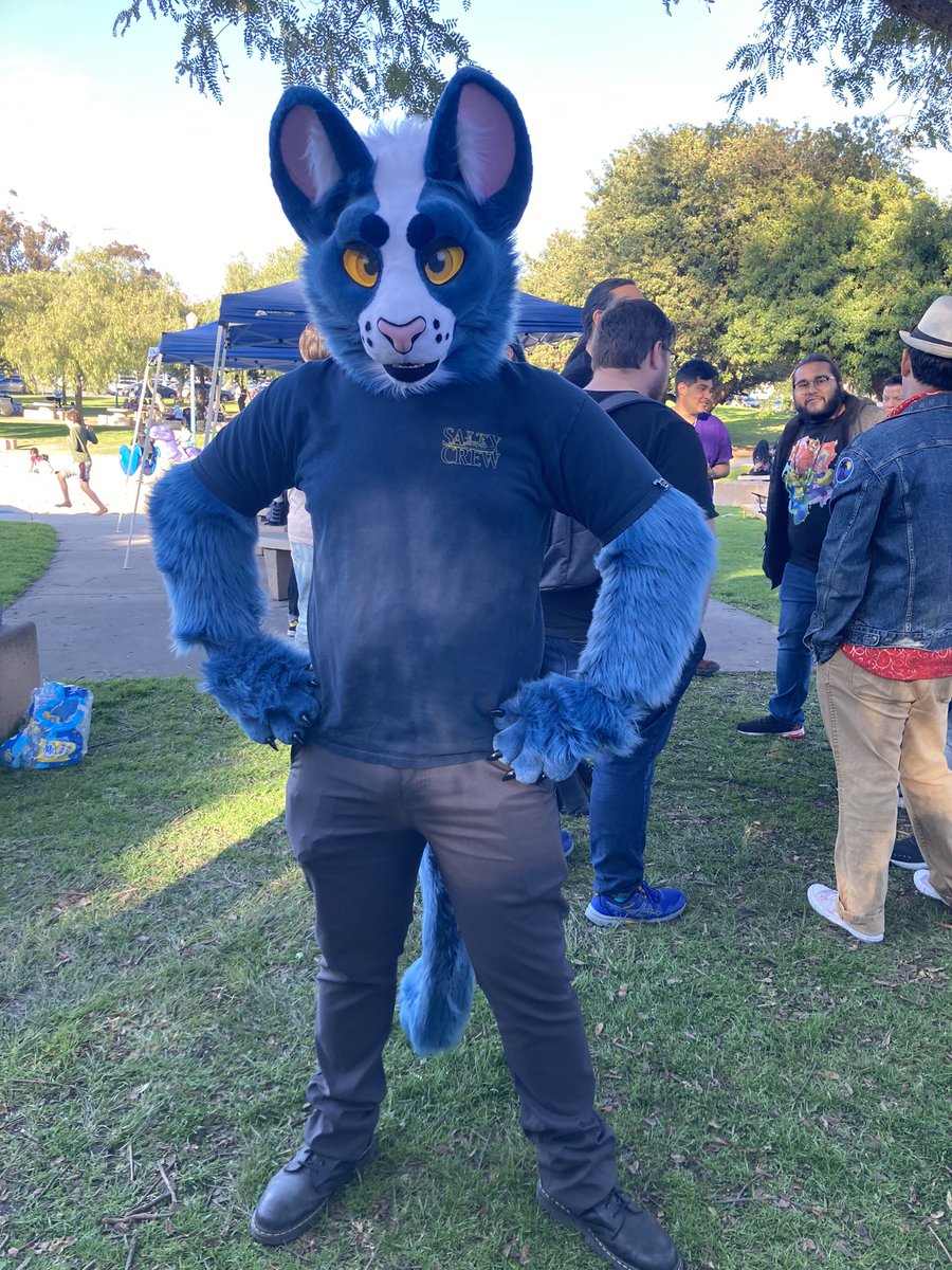 SofBeak's tweet photo. Such lovely colors I saw this weekent at Balboa Park! We have Chance the bright and happy Safety Dragon @ChancetheDragon and the no-nonsense Russian Blue here to represent the best of the best in being colorful! Amazing!!
@SanDiegoFurries #sdfurs https://t.co/MWKl6cMUz2