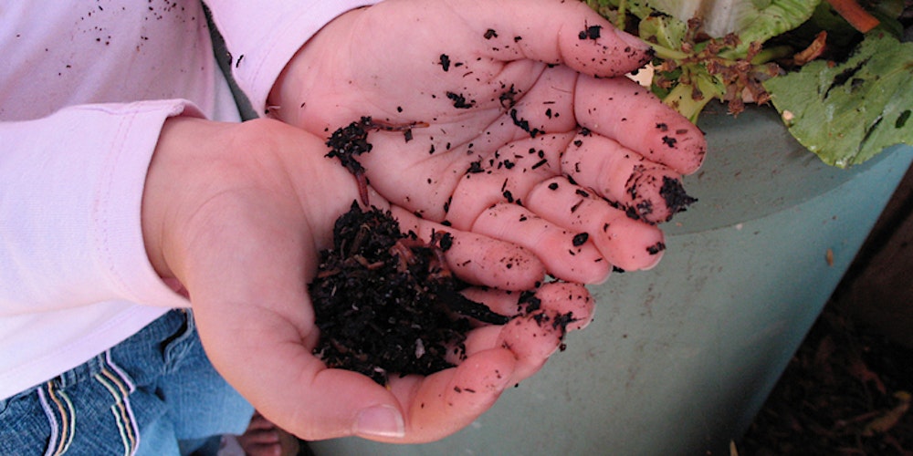 btnhovefood's tweet image. This Valentine's day, fall in love with soil! Expect compost guru talks, interactive stalls, and see soil life under the microscope. Tue 14 Feb 10:30 – 12:30 Community Base, Queens Road #Brighton
Book now: eventbrite.co.uk/e/loving-livin… 
#ValentinesDay #compost #gardening