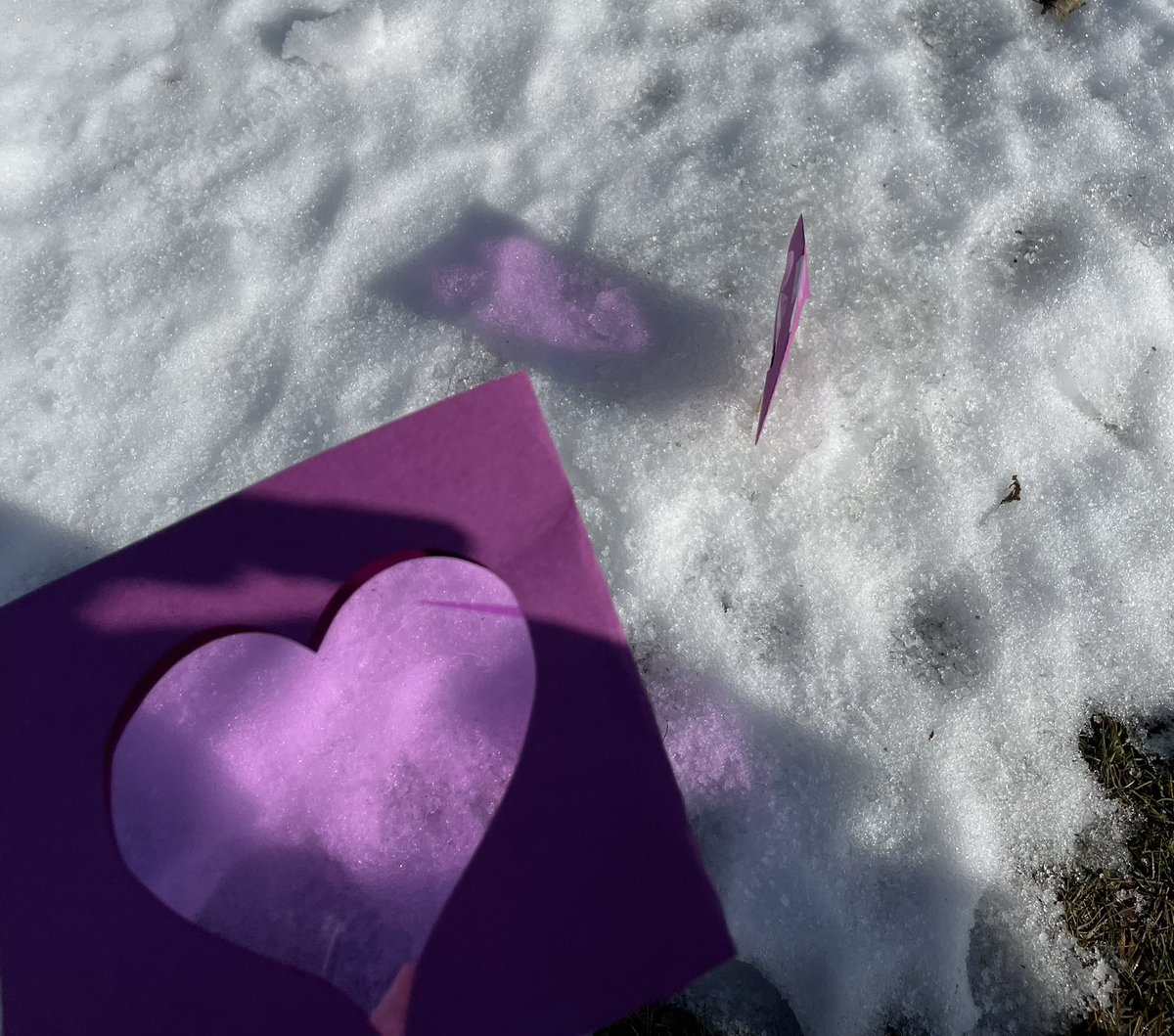 Junior K explores shadows on a sunny MI day @PleasantLakeEl @WalledLkSchools @CatherineKocha1 @NAEYC #playbasedlearning #explore #wonder #prek @PreKPages #handsonscience