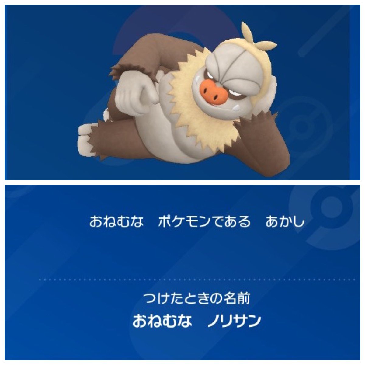 .̳°̳ʚ̳お̳て̳ふ̳き̳ɞ̳°̳.̳ tweet media