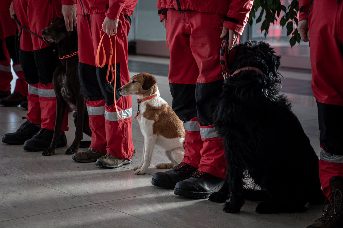 denikms's tweet image. Nakládka letadla, se kterým do Turecka zasaženého zemětřesením odletí speciální tým vycvičený na vyhledávání osob v sutinách👇🏼
📸Foto: DENÍK/ @lukaskabon 
#msdenik #letiste #turecko @hzsmsk 
moravskoslezsky.denik.cz/zpravy_region/…