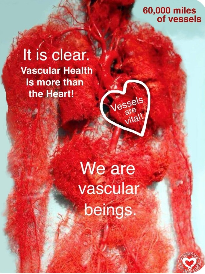 Respect your vascular health! We ARE vascular beings and there is even more beyond how our heart pumps!
Educate. Inform. Enlighten. ❤️
internationalheartspasmsalliance.com #MicroIsHuge #heartmonth2023 #hearthealthmonth
#ANOCA 
#INOCA 
#CardioTwitter 
#MedTwitter