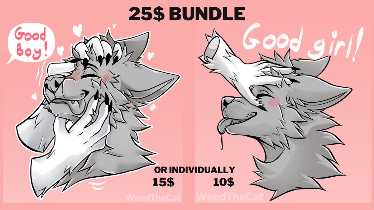 I originally planned to close these on February 1st, but because of the huge interest, I'll leave them open a little longer :]

Keep in mind that there are additional fees for major line edits!

(RTs are always very appreciated)

#furry #furryych