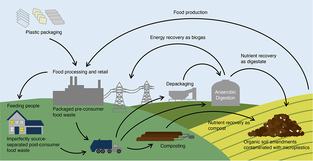 NEW in JEQ - #Microplastics in composts, digestates, and food wastes: A review - #OpenAccess review by Porterfield &amp; colleagues doi.org/10.1002/jeq2.2… <a href="/uvmvermont/">University of Vermont</a> <a href="/GundInstitute/">Gund Institute for Environment</a> <a href="/UVM_RSENR/">Rubenstein School</a>