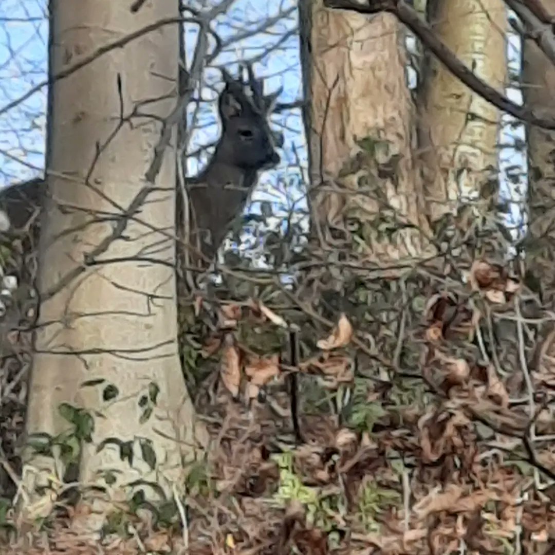 Working therapeutically in the outdoors today, <a href="/OutThereAdventu/">Out There Adventures</a> with courageous clients from <a href="/EdbertsHouse/">Edberts House</a> 
An amazing day.