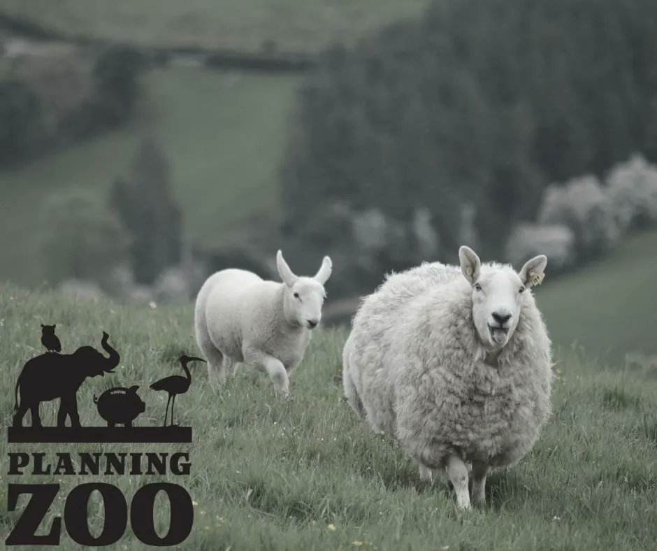 Excited that you signed a new client, but now dreading putting together another new plan? Let us help! The Zoo Crew is hungry and on standby to let you sign new clients without worrying about the data organization and entry into your FP software. buff.ly/3TmFz0f
