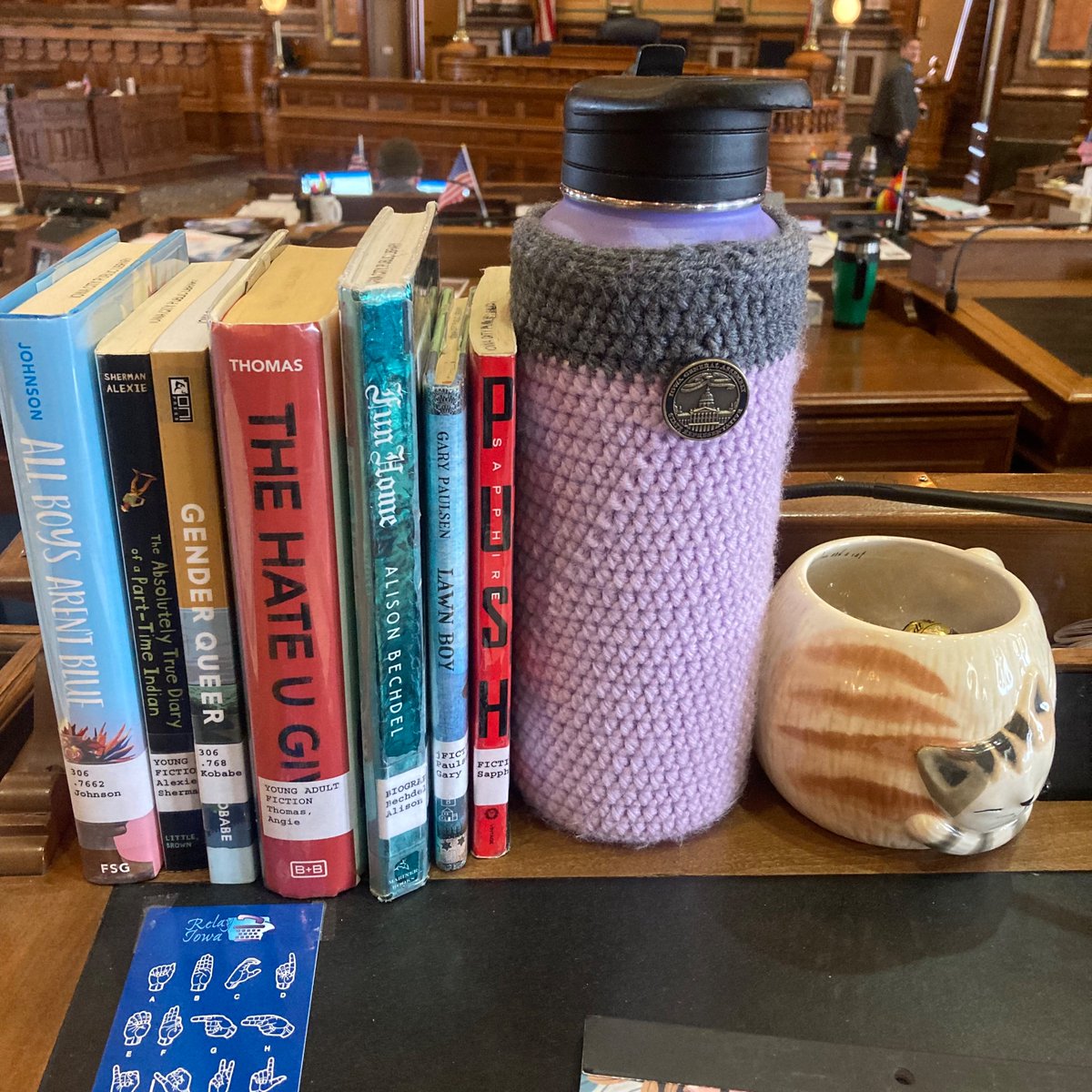 LevinforIowa's tweet photo. If any member of the House or Senate wants to take a look at some of the books parents are coming here to try to ban today, they are available on my desk. Stop by. When we ban books, we cut people off from different perspectives and experiences.  #ialegis #considercompassion https://t.co/diZDtdtfBu