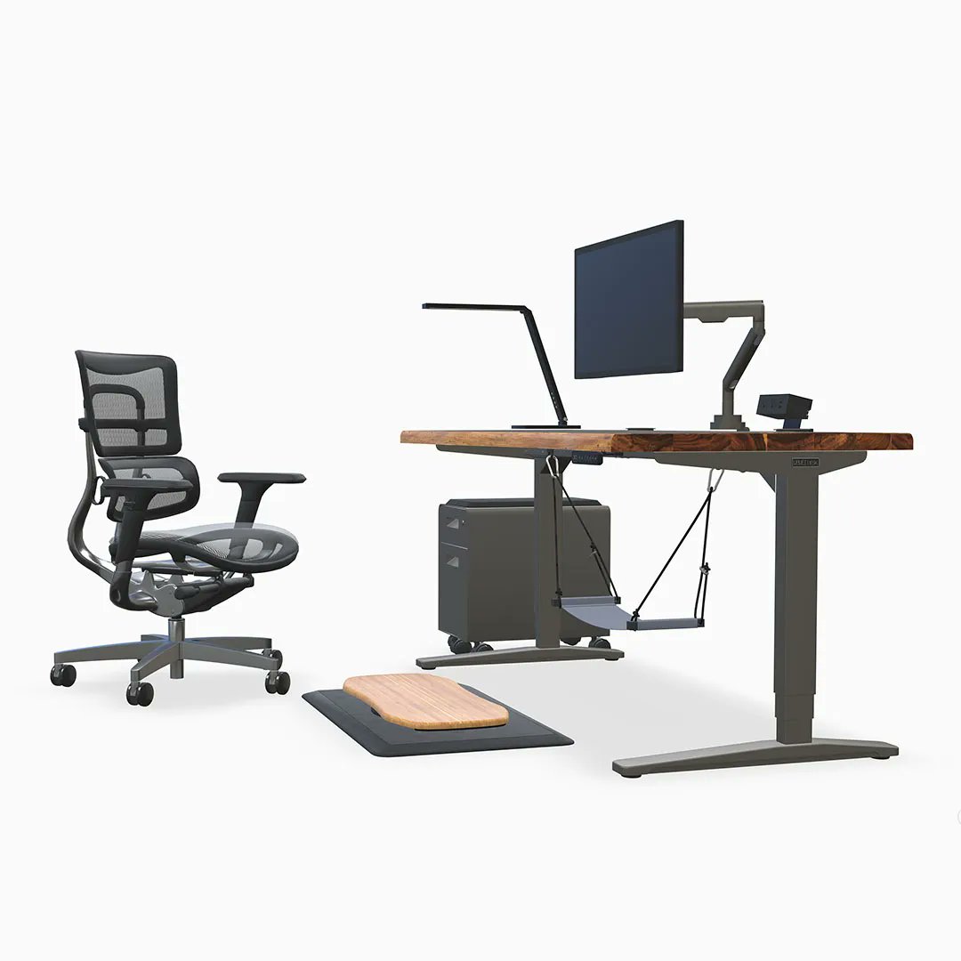 Human Solution tweet media