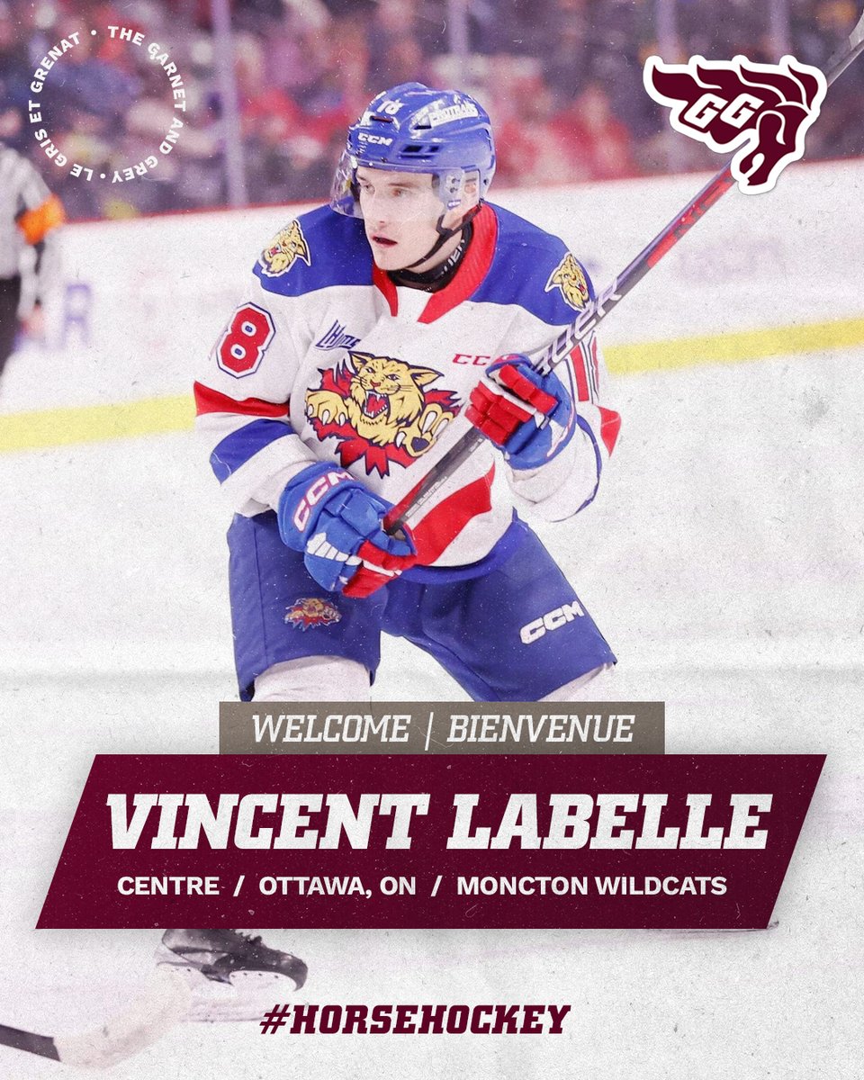 An Ottawa product coming home! 🏠

Vincent Labelle will be joining our program for the 2023-24 season! Vinny is currently leading the Moncton Wildcats in scoring and spent time with the Rockland Nationals organization. 🏒

Welcome to #GGnation🐎 Vincent!