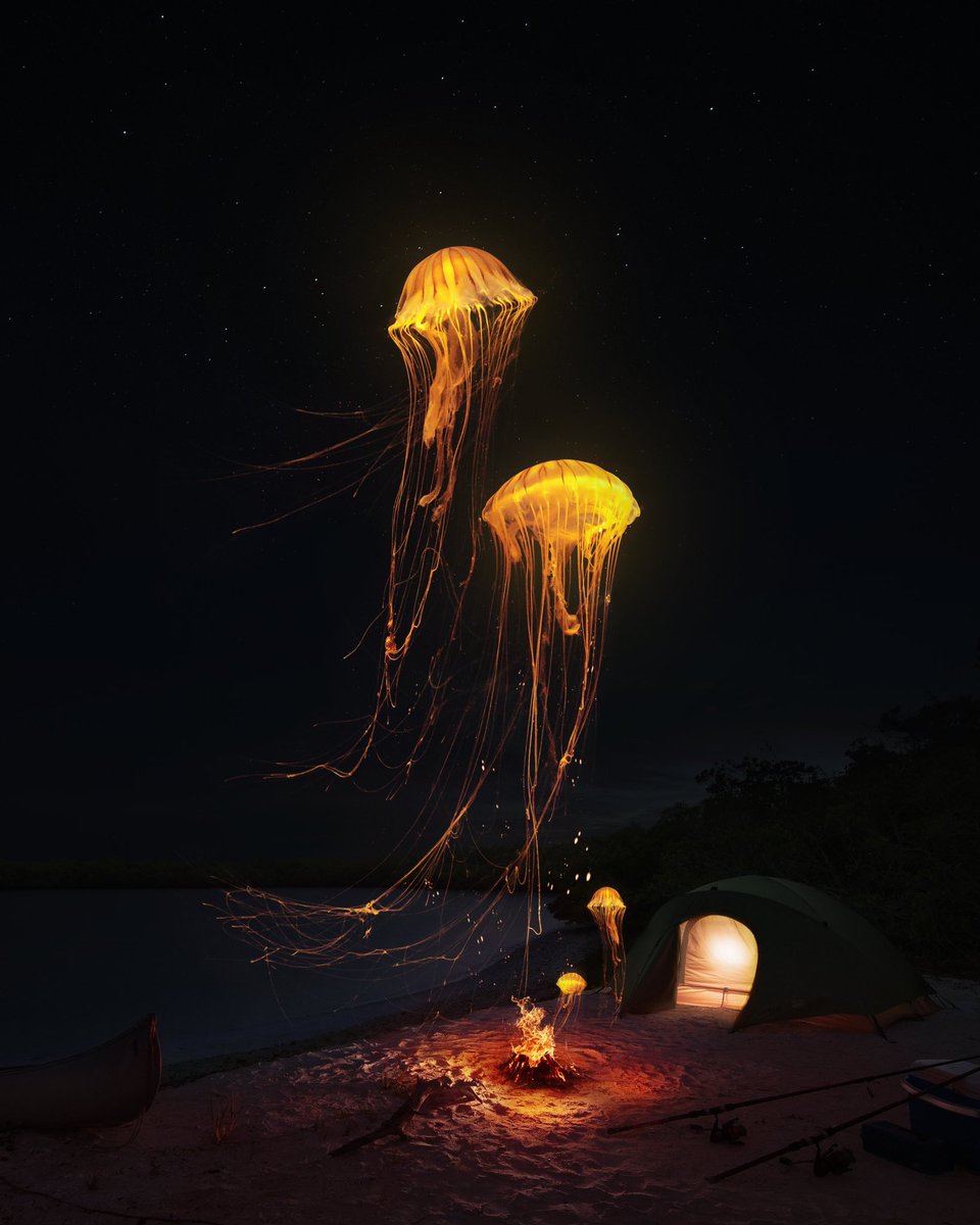 GM GM!
Finally reopen my print shop today - super excited to share here!
tedslittledream.com/store
Use code LOVE23 for 15% Off!