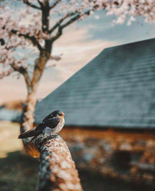 “لا أحب رؤية المنكسرين ولو كانوا أعدائي.”...🤍🍂
#Viola_Wrd