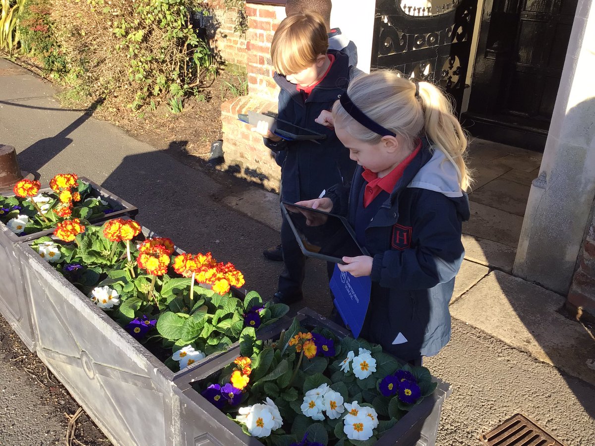 HawthornsLS's tweet photo. This week in Year 1 Science we are learning about plants. We went on a plant hunt around the School and took photos of our favourite plants. @HawthornsSchool https://t.co/CQr0MVQfbO