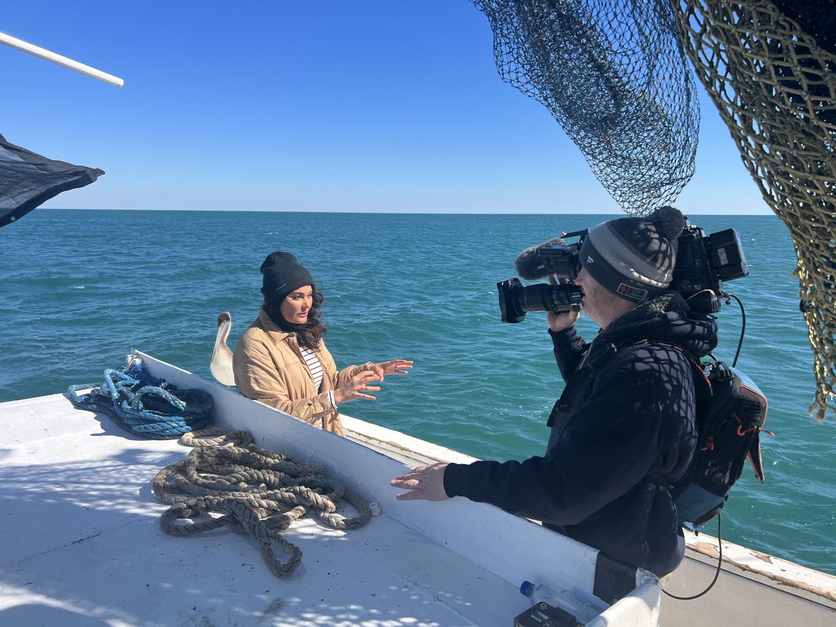 BerrymanKim's tweet photo. Photobombers are the worst…#pellican #shrimpboat #cnn #MyrtleBeach https://t.co/u7XIeEPjCp
