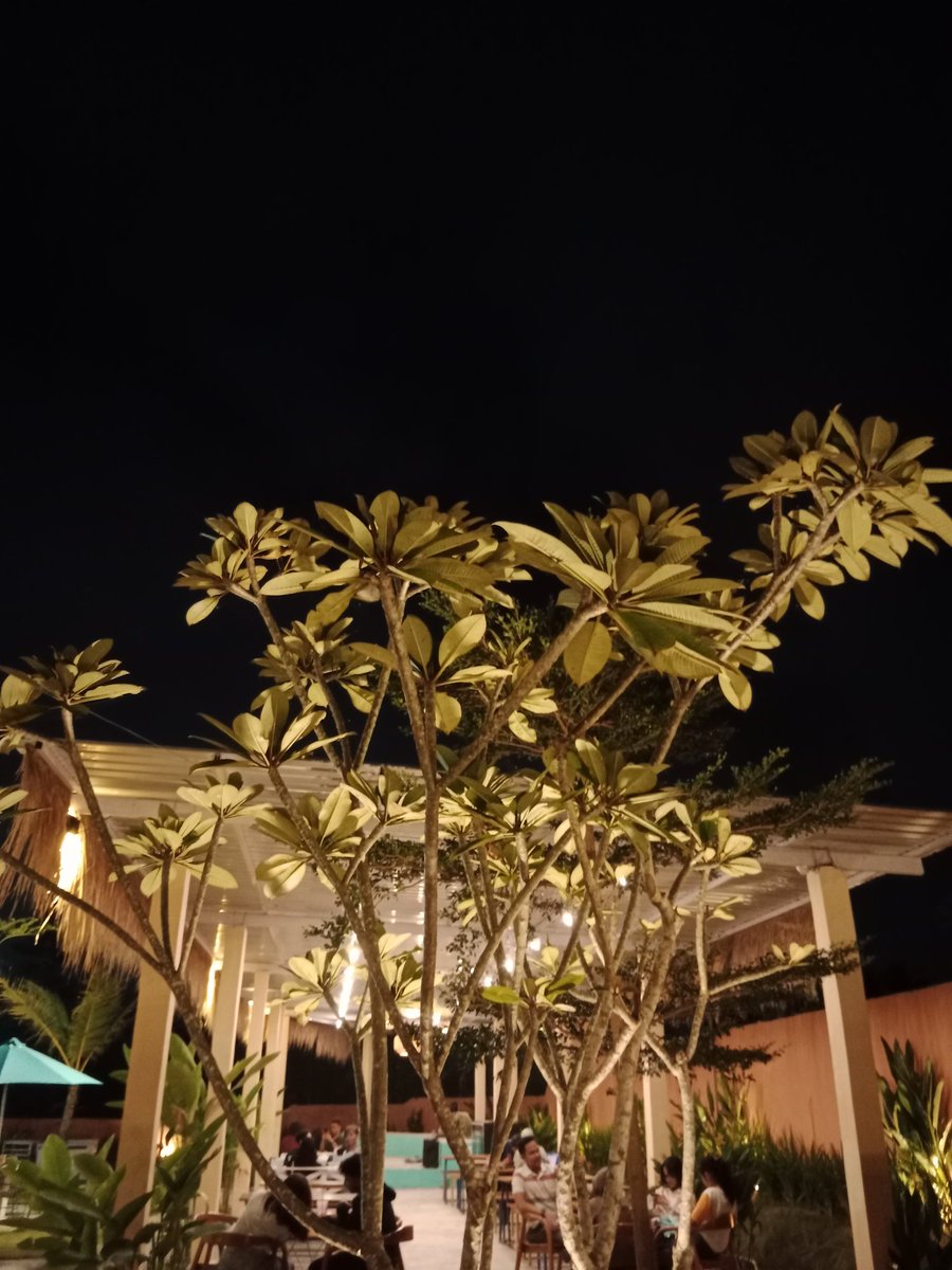 mudhiah5's tweet photo. Overthinking gpp lah
Masa depan perlu jg dipikirin
Tp jangan dibuat suatu kecemasan berlebihann hingga berujung pada pesimistis  

Besok kembali jalan lagi
Semangat lagi
Menyelesaikabmn urusan dan tanggung jawab dengan sebaik2nya.. https://t.co/joM3lZYBID