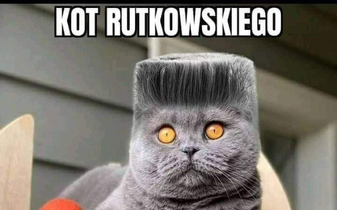 FoTM_DWWAAkjK79