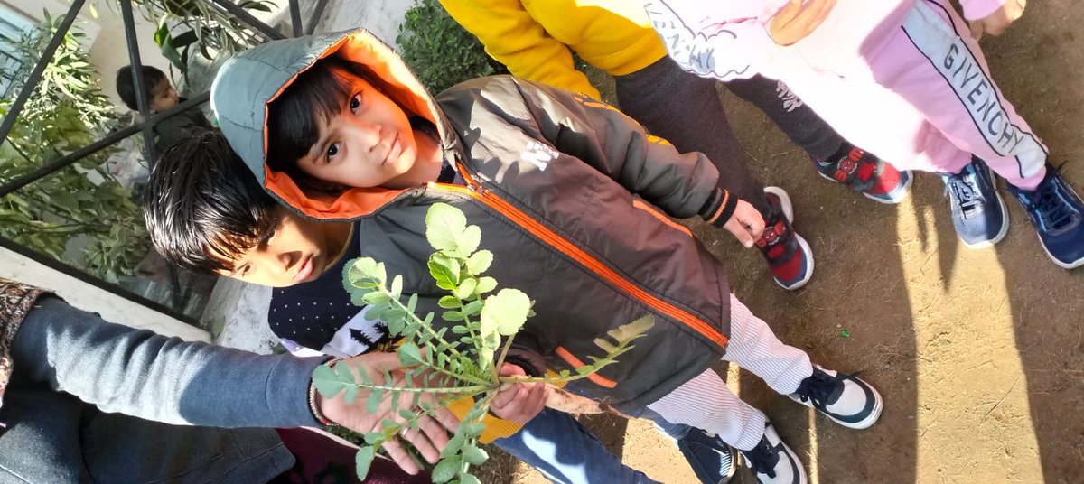 Preetibhatnag03's tweet photo. Kids' sheer fun evident on their faces when they pulled out radish from their school's kitchen garden#experiential learning#observation#hands on learning @inBritish @aparnasharma68 @SDG2030 @RajiveSethi @sas96553801 https://t.co/6VfvdAmldT