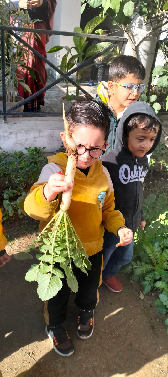Preetibhatnag03's tweet photo. Kids' sheer fun evident on their faces when they pulled out radish from their school's kitchen garden#experiential learning#observation#hands on learning @inBritish @aparnasharma68 @SDG2030 @RajiveSethi @sas96553801 https://t.co/6VfvdAmldT