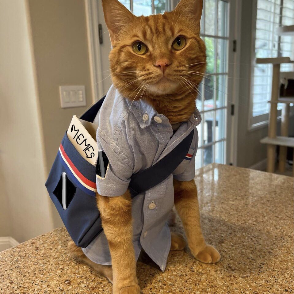 Animus_Diagolon's tweet photo. My cats are out delivering the memes.
I sure hope that isn’t Conspiracy to Litter. 🤷🏻♂️
#GetBackToWorkKittyCat
#Diagolon #DILF_Party
#MemeIntelligenceAgency
#DepartmentOfShenanigans https://t.co/EZQGV3hcXY