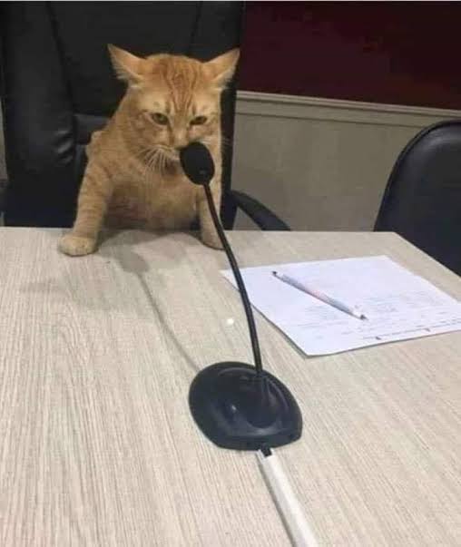 🐈‍⬛↜ ࢪﯾه‍ـــــا۾ 🇪🇬🤍🇵🇸 tweet media