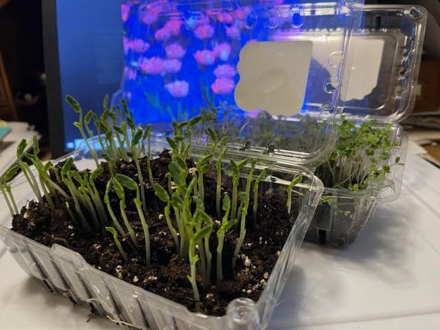 Ontario Today tweet media