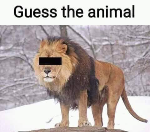 kristoferthomas's tweet photo. This is the funniest thing I’ve ever seen https://t.co/eeEQ8neGfT
