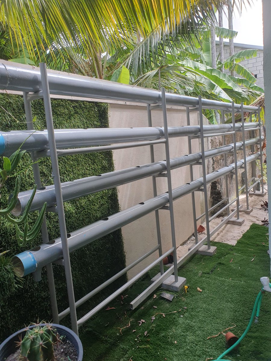 dhanduveriya_jr's tweet photo. 50 lettuce plant setup in backyard.
Aquaponics method used from fish pond in ur yard.
#smartfarming  #sustainability  #addumeedhoo #freshyield https://t.co/L0H0FefOHF
