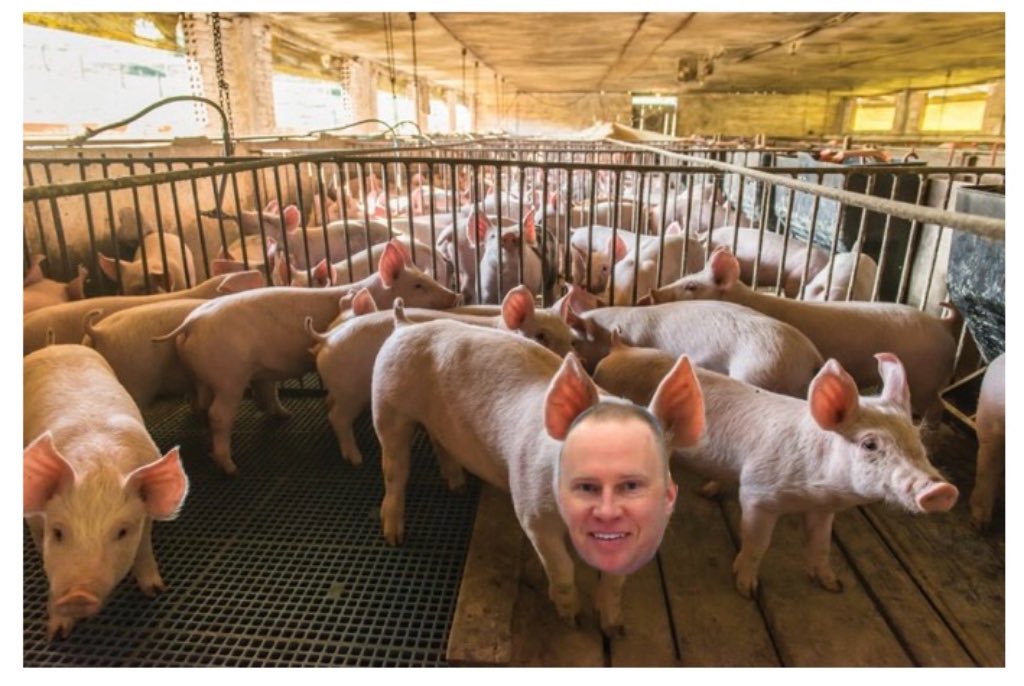 shooterBot's tweet photo. @ndrewwk not sure if you know, but I have a family member who pig farms, and watching the tankard he said he hasn’t seen a bigger #hog @Haichert #operationCornBroom https://t.co/HaeaCq5CCy