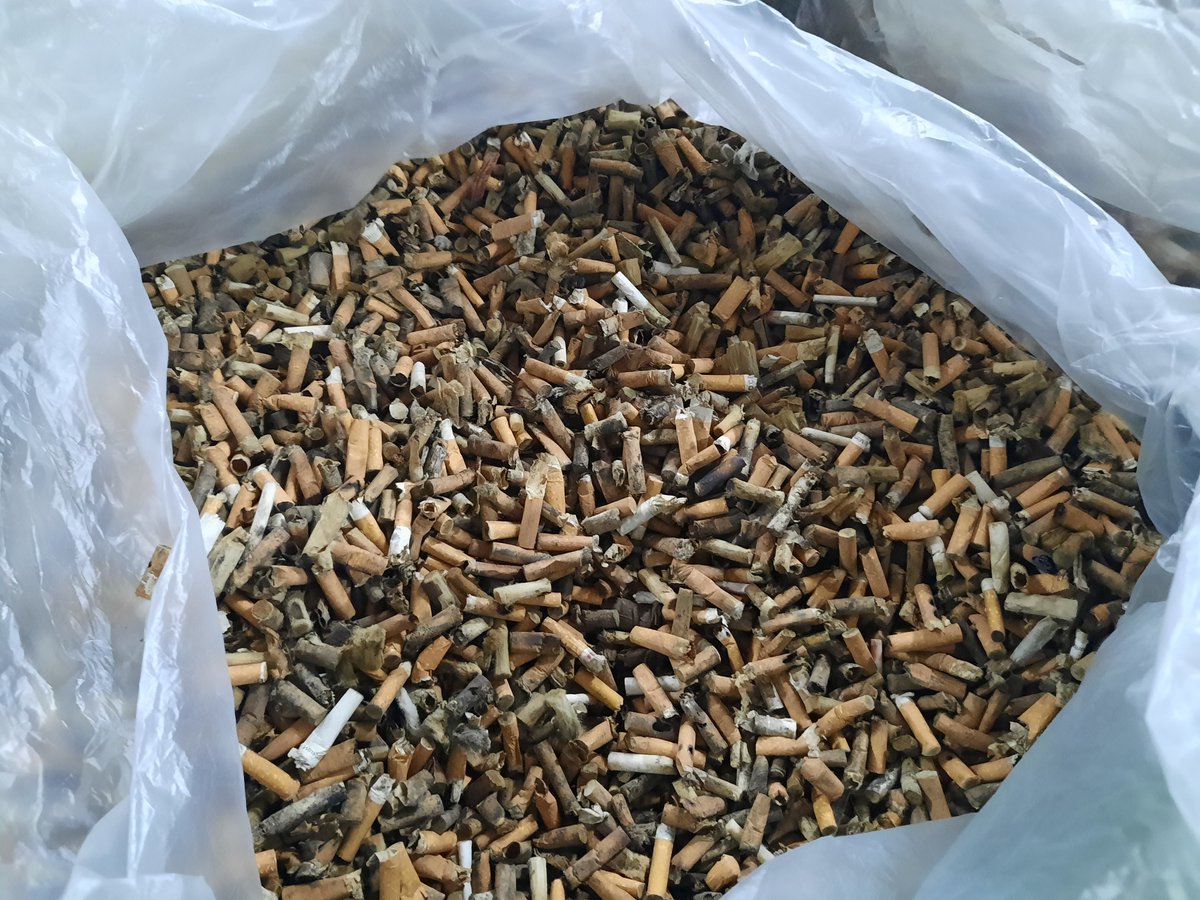 Rédaction de France Culture tweet media