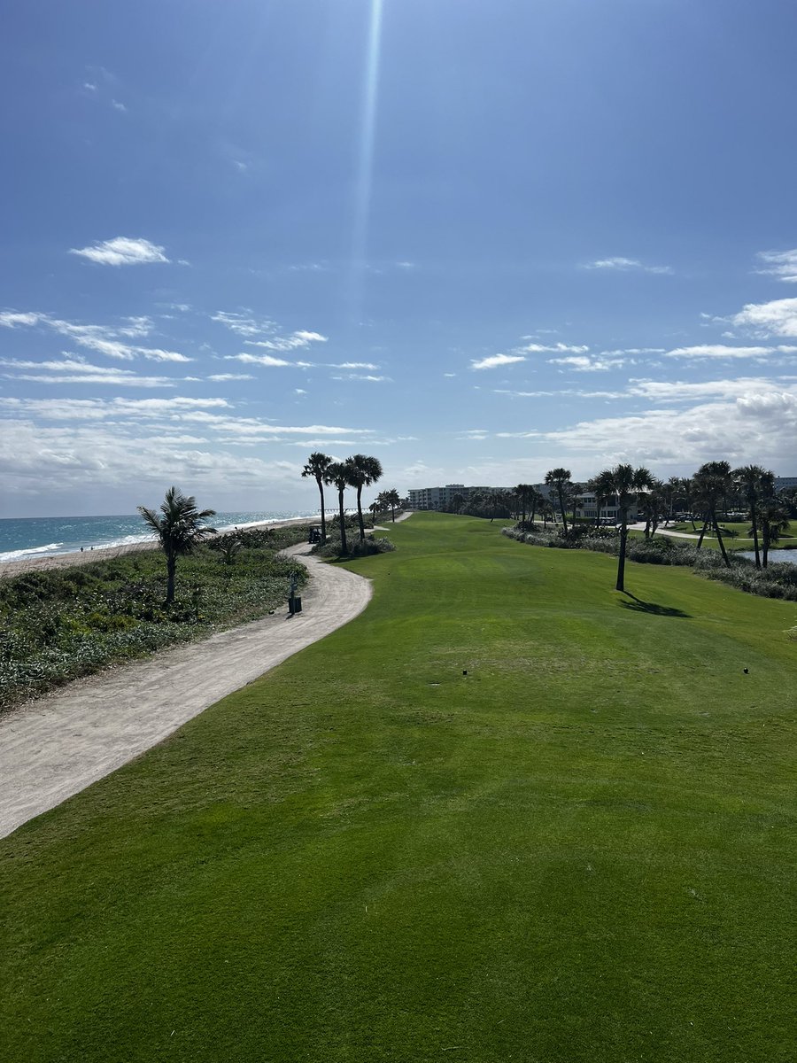 Tim Campbell tweet media