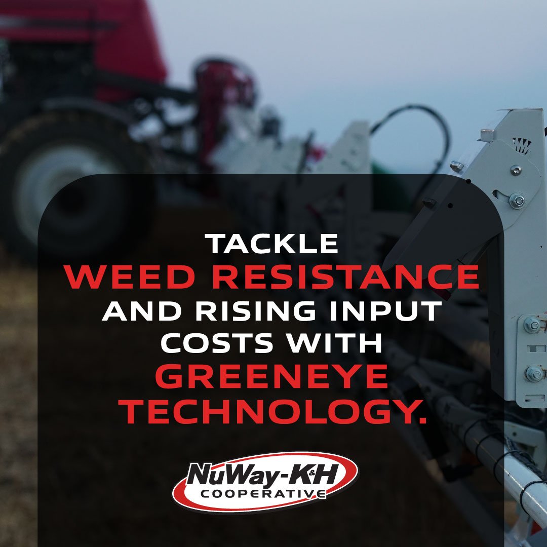 In a recent independent field trial, the Greeneye system was proven to reduce non-residual herbicide use by 87% on average, while achieving the same level of efficacy as broadcast application.  Source: greeneye.ag/press-releases…