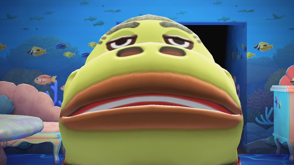 ponndann's tweet photo. #동물의숲 #AnimalCrossing #ACNH #NintendoSwitch https://t.co/Gk9NuEmlvf
