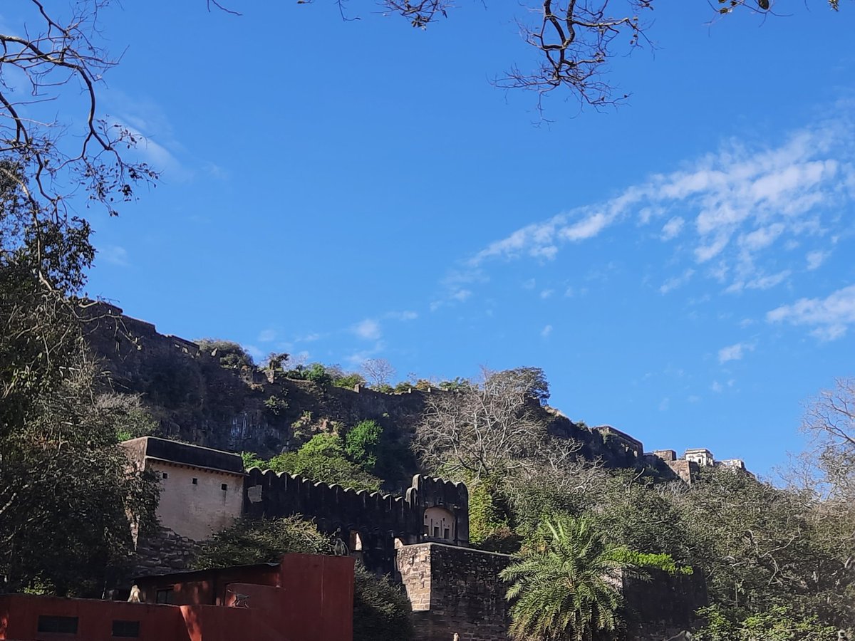 Which fort is this ?