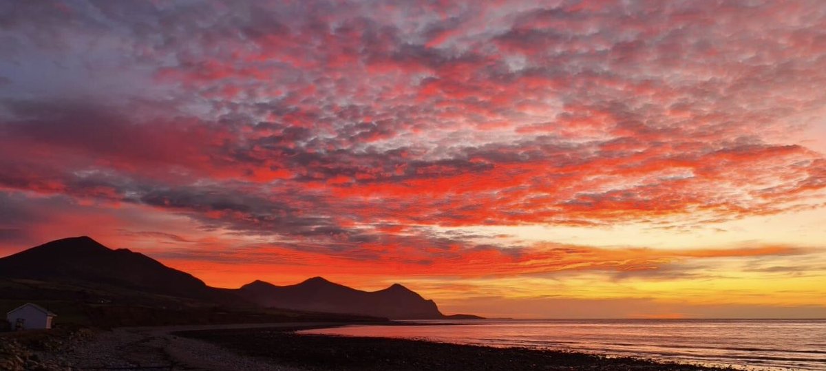 Dylan Williams tweet media