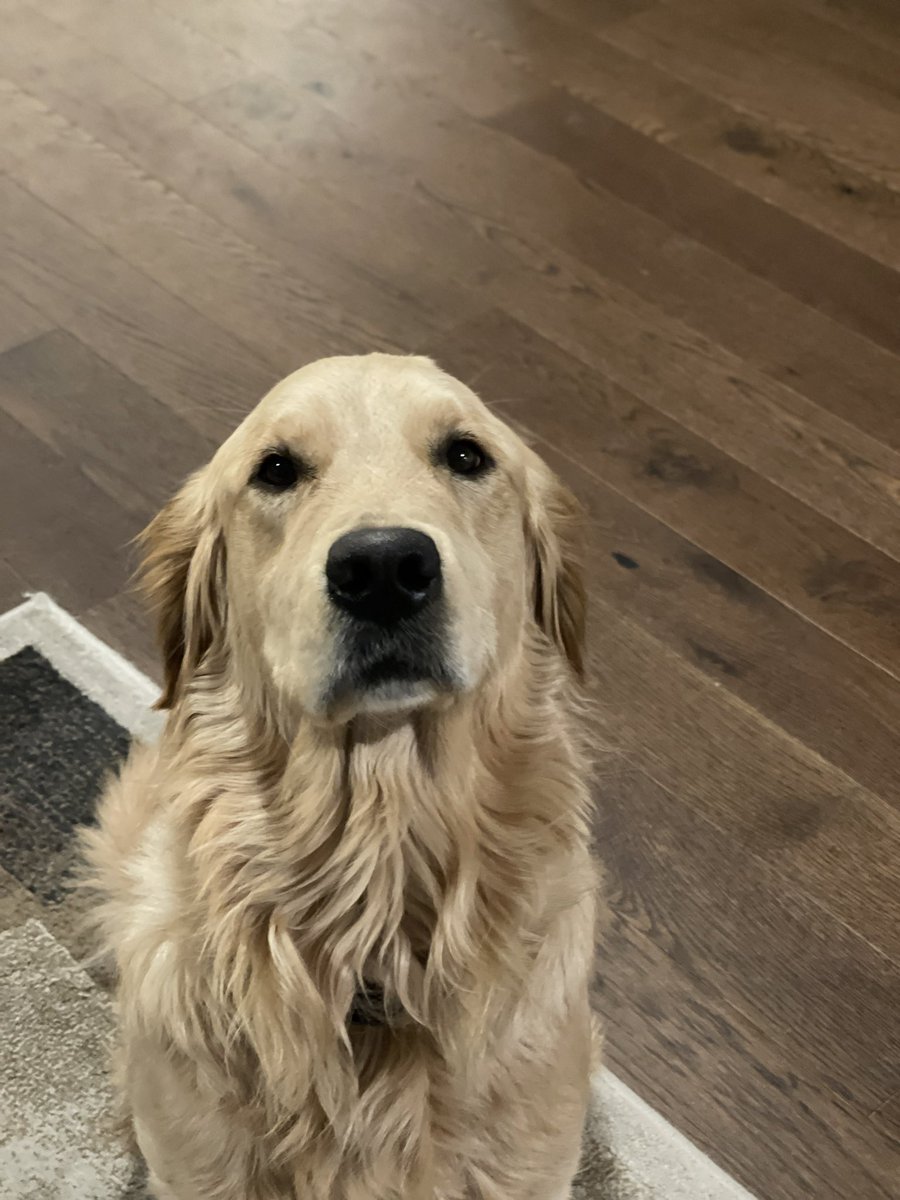 Danny🤟🏻Craven (APGAR 8&9) tweet media