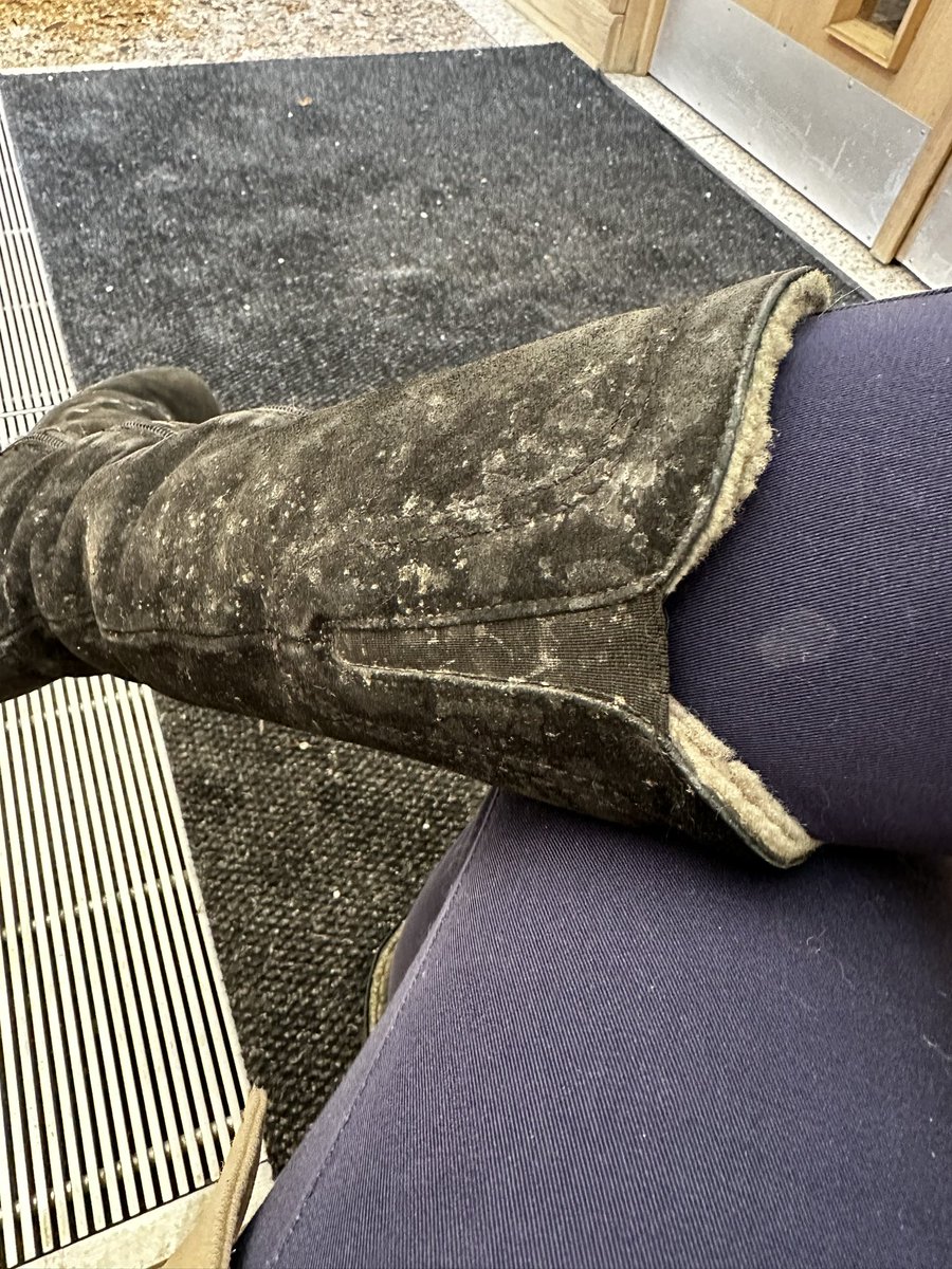 Edith ❤️ Montréal tweet media