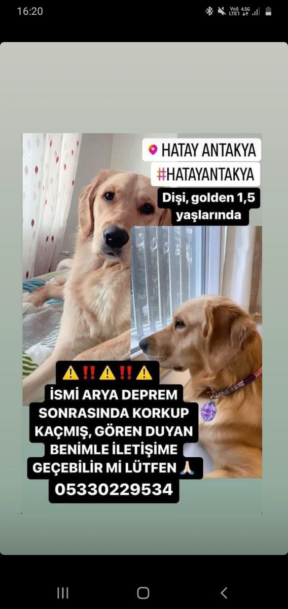 KAYIP İLANIDIR ‼️
HATAY ANTAKYA
#deprem #Turkey #hatay