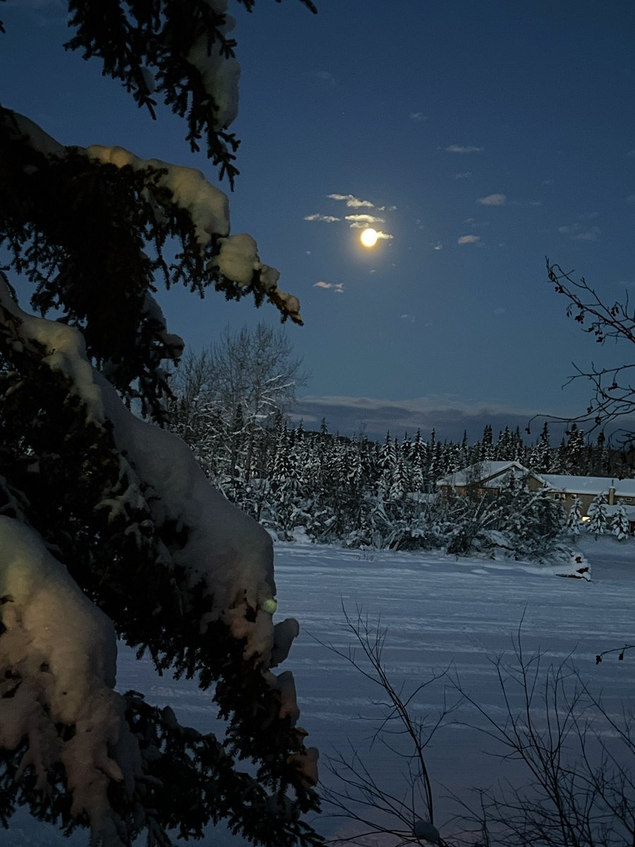 jsphotomilw's tweet photo. #nightcamera app. 8am full moon over Fairbanks. Good result on my 1st use! Next, hopefully, some auroras! https://t.co/Vs9Yiz4C3j