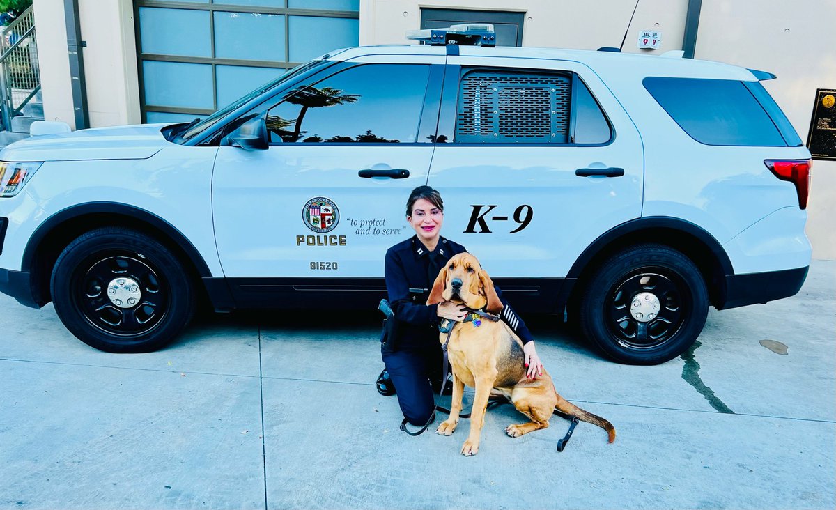 LAPDCARRANZA's tweet photo. We are honored to host the National Police Bloodhound Association @LAPDHQ ! #NPBA is the oldest law enforcement Bloodhound association in the country, and the most experienced when it comes to the utilization of the Trailing Bloodhounds. #LAPD Swag: https://t.co/BvjVqqzL1D https://t.co/cyR05ONt3B