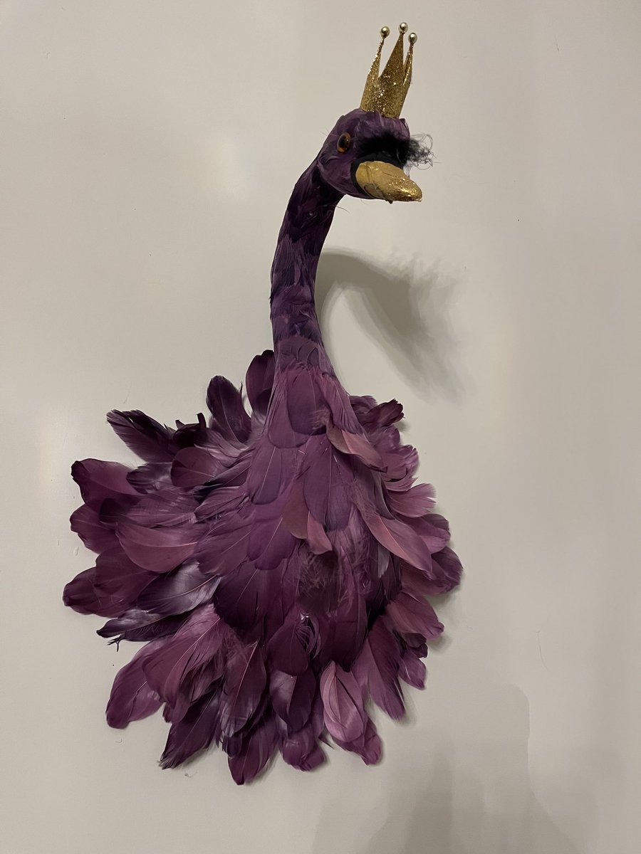 Alan Stewart Carries A New World Here In His Heart tweet media