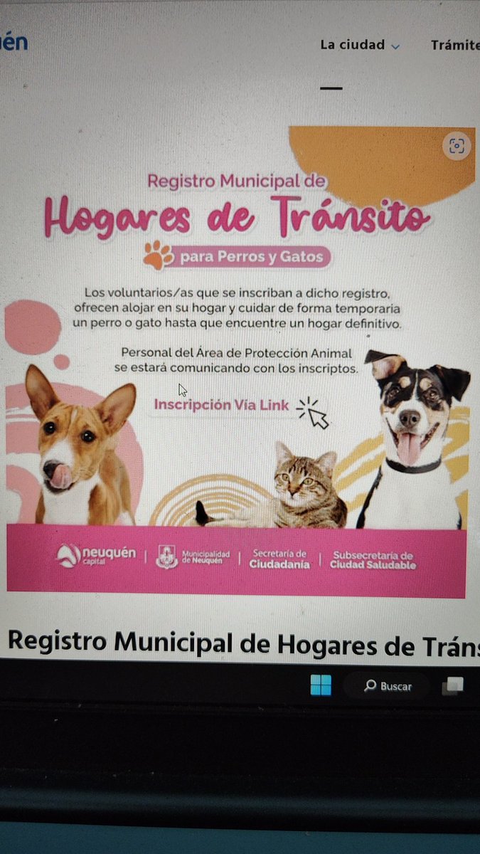 bumeran32's tweet photo. #perrosyhogardetransito https://t.co/ABfhSRFUL3