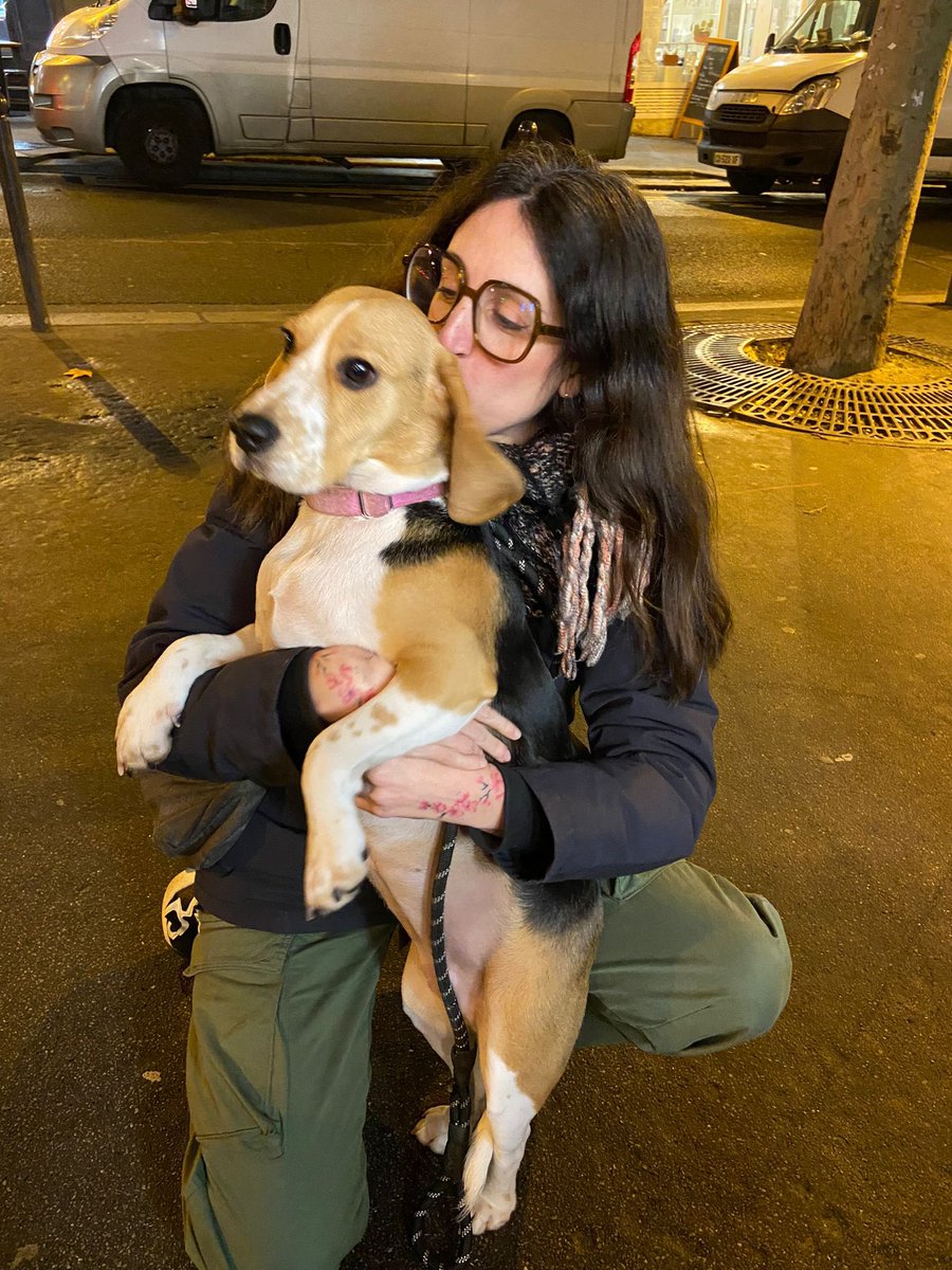 badlandssha's tweet photo. Une amie à moi a perdue son chien, il a eu peur d’un pétard et as pris fuite. 
C’est une femelle Beagle qui s’appelle Billie. 
C’est arrivé ce soir à 18h40 à côté du square Montholon dans le 9eme arrondissement de Paris. 
Si quelqu’un la voit svp faite moi signe au 07.81.38.82.39 https://t.co/o5rv0OR9Zn