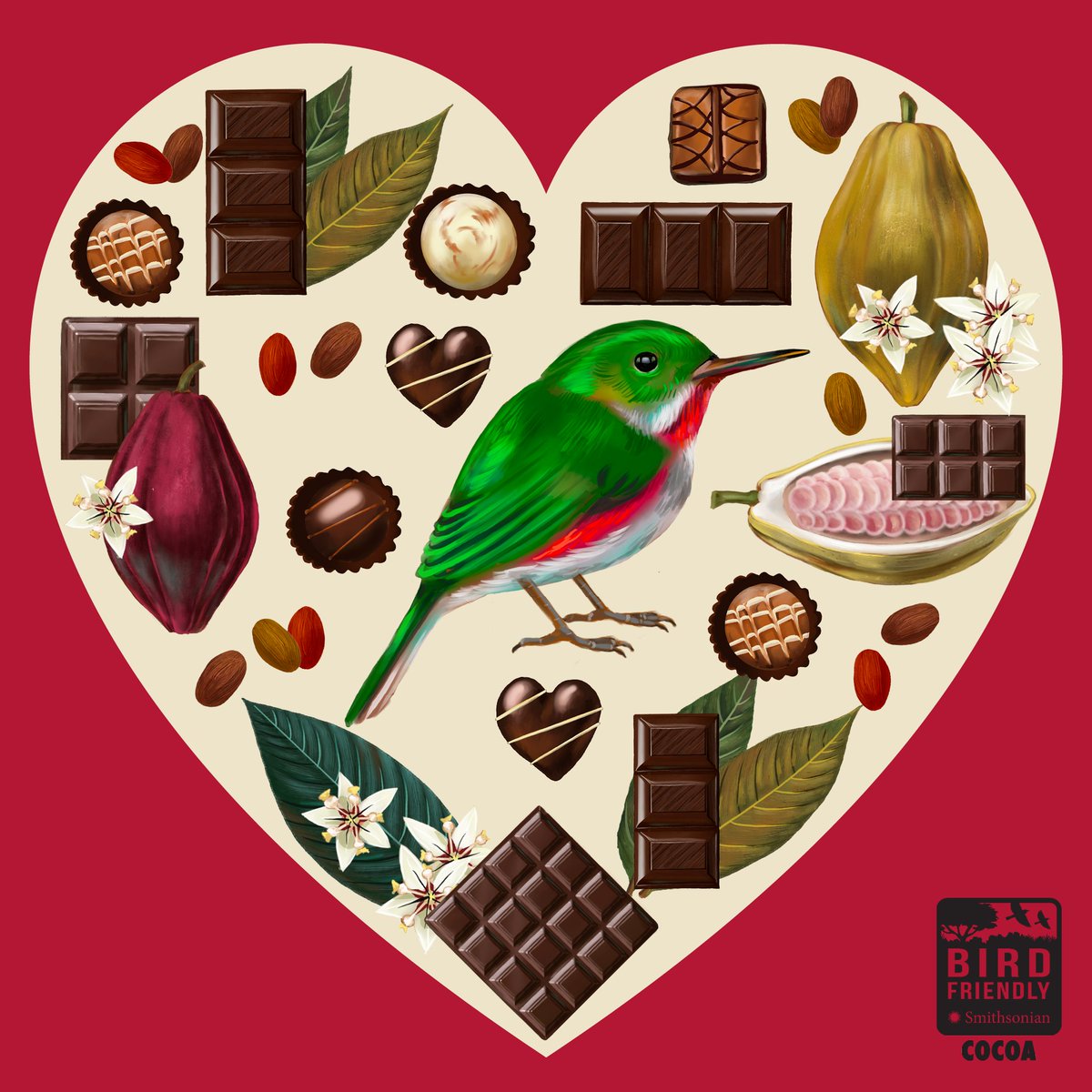 Check out the first set of delicious, sustainably grown, organic, Bird Friendly® certified chocolate by @DandelionChoco and @RaakaChocolate made from 100% certified Zorzal Cacao. #beantobar #sustainablecacao nationalzoo.si.edu/migratory-bird…