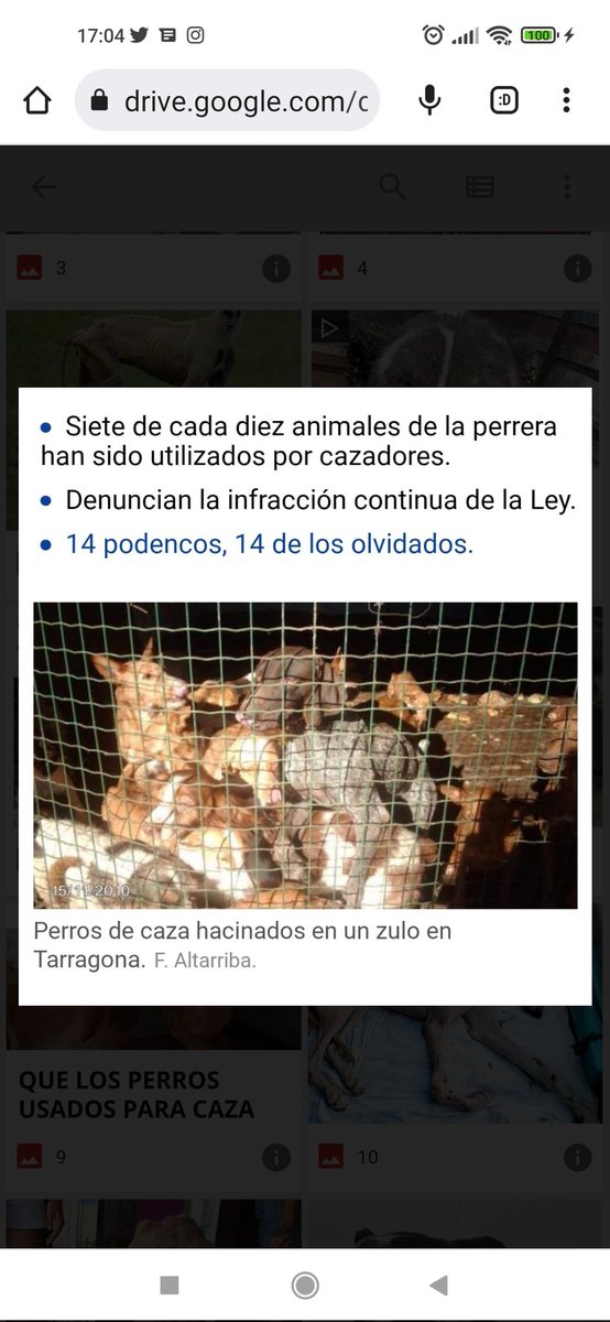 #SanchezConElMaltratoAnimal
<a href="/sanchezcastejon/">Pedro Sánchez</a>
@psoe
<a href="/gpscongreso/">PSOE Congreso</a>
<a href="/desdelamoncloa/">La Moncloa</a>
España es el culo del mundo en proteger a sus animales. Los perros de los cazadores sienten y sufren