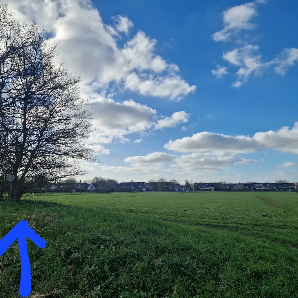 Buitenpoëzie upgrade! Het gedicht dat ik vorig jaar op het Driedorpenpunt had gezet was niet meer goed leesbaar. Op deze nieuwe versie staat ook waar welke dorpen zijn. Wel zo leuk voor de fietstoerist toch?

* #Bleiswijk #Bergschenhoek #BerkelenRodenrijs #Lansingerland