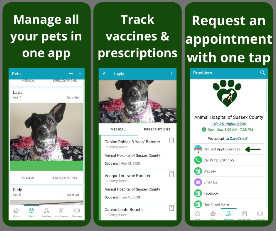 Animal Hosp. Sussex (@caringvets) / Twitter Animal Hosp. Sussex (@caringvets) / Twitter