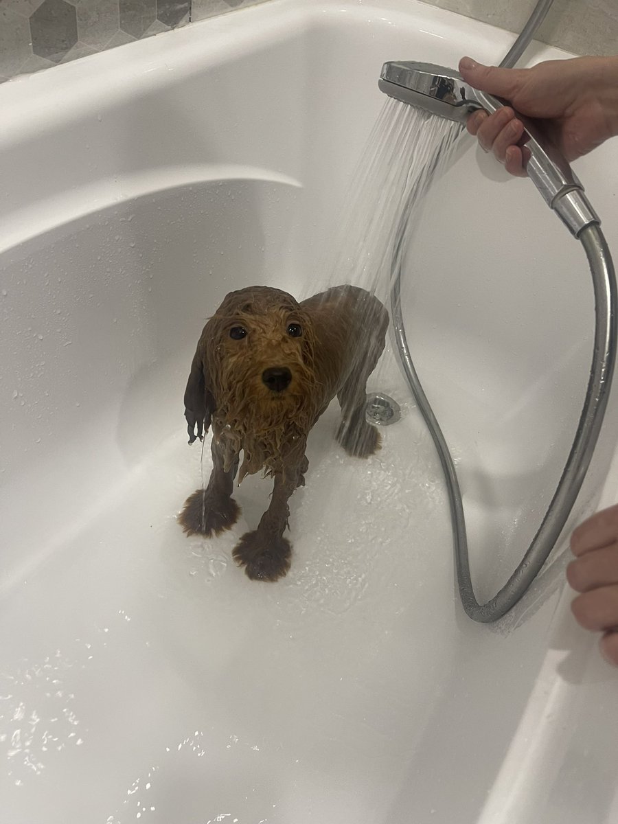 Добрых дел мастер tweet media